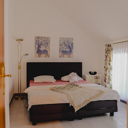 Terrace Apartment Near Volksoper And City Centre Виена Екстериор снимка